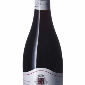 Domaine Thierry Mortet