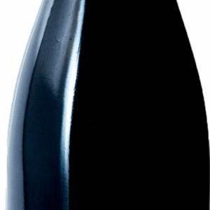 Domaine Pierre Gaillard Syrah Terres de Mandrin