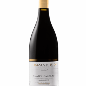 Domaine Jean-Charles Rion Aux Beaux Bruns