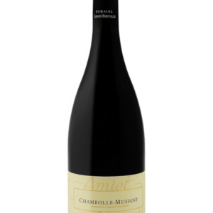 Domaine Amiot-Servelle